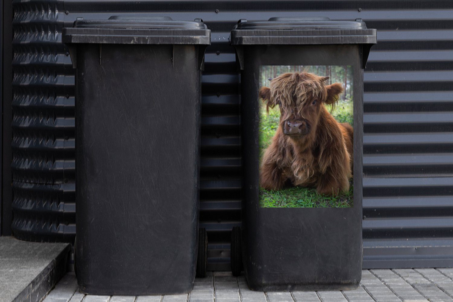 Mülleimer-aufkleber, Tiere Container, Sticker, Abfalbehälter - (1 Schottischer Highlander Kröte Mülltonne, MuchoWow - Wandsticker St),