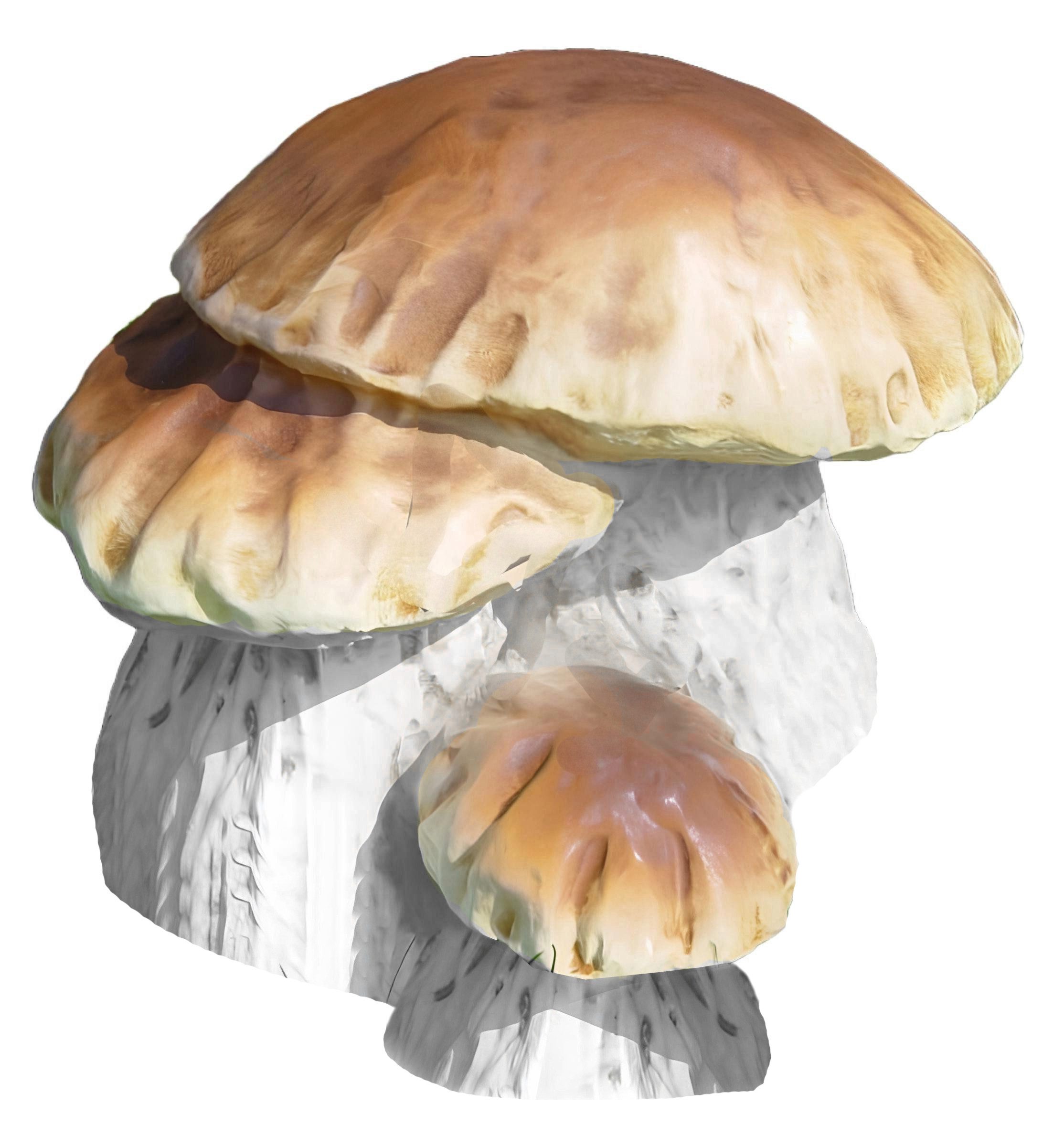 Skulptur Moderne Pilz-Figur als stilvolle Dekoration - brandneu