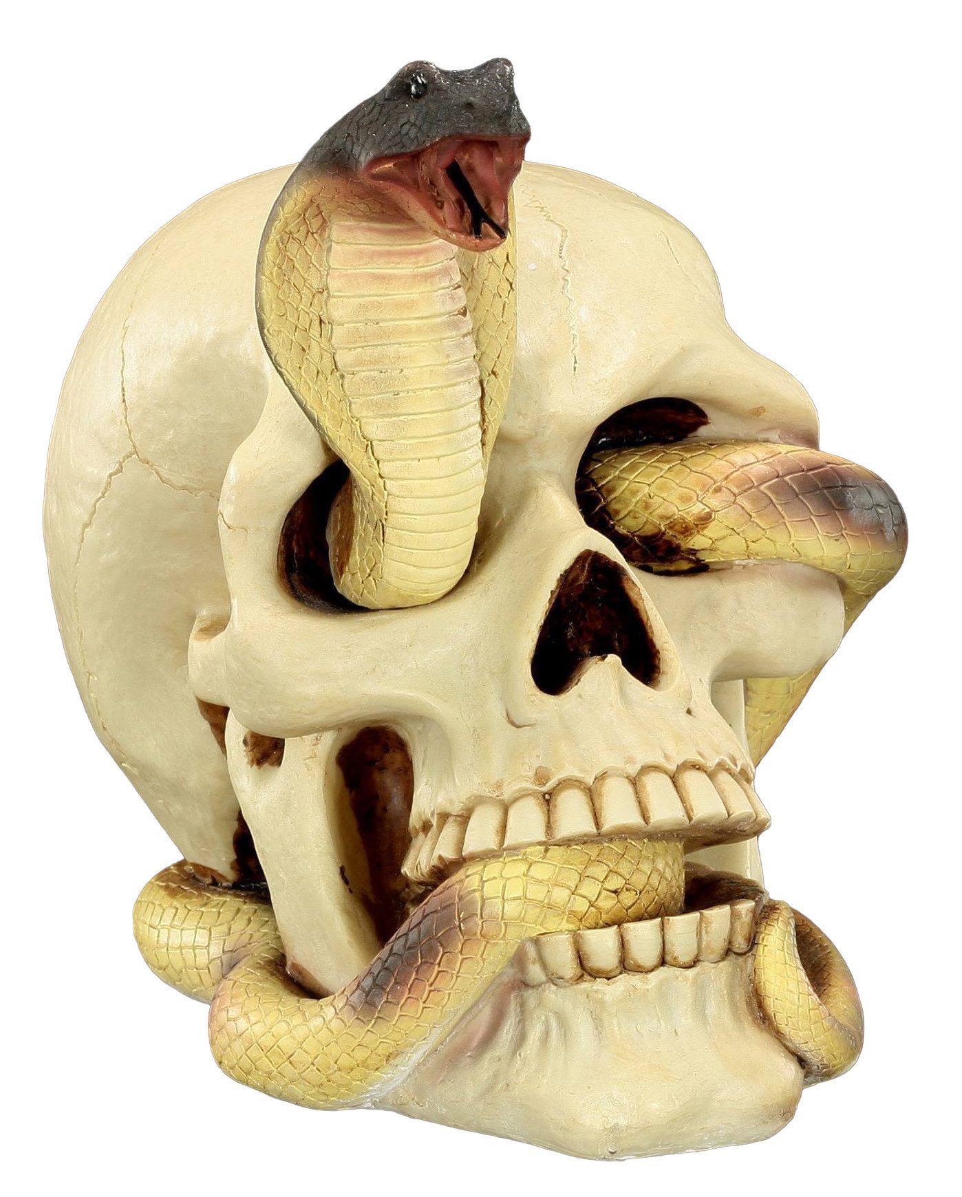 Figuren Shop GmbH Dekofigur Totenkopf - Kobra schlängelt sich durchs Auge - Gothic Deko Fantasy