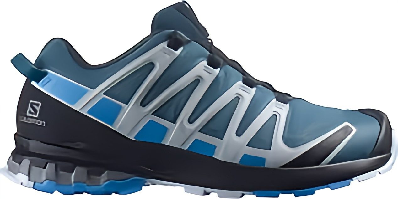 Salomon XA Pro 3D V8 GTX für Herren Outdoorschuh günstig online kaufen