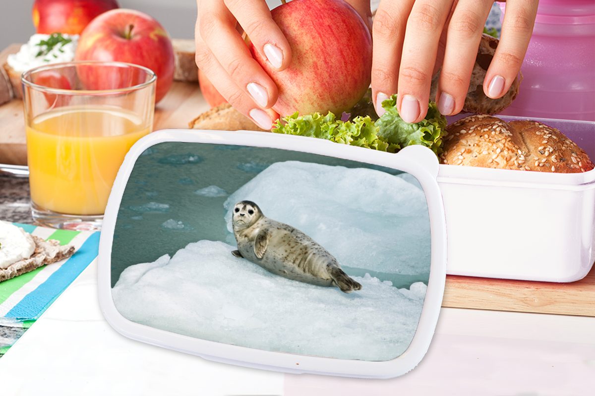 MuchoWow Lunchbox Robbe - Meer Kunststoff, Erwachsene, für Brotbox - (2-tlg), und für Jungs und Brotdose, Eis, weiß Kinder Mädchen