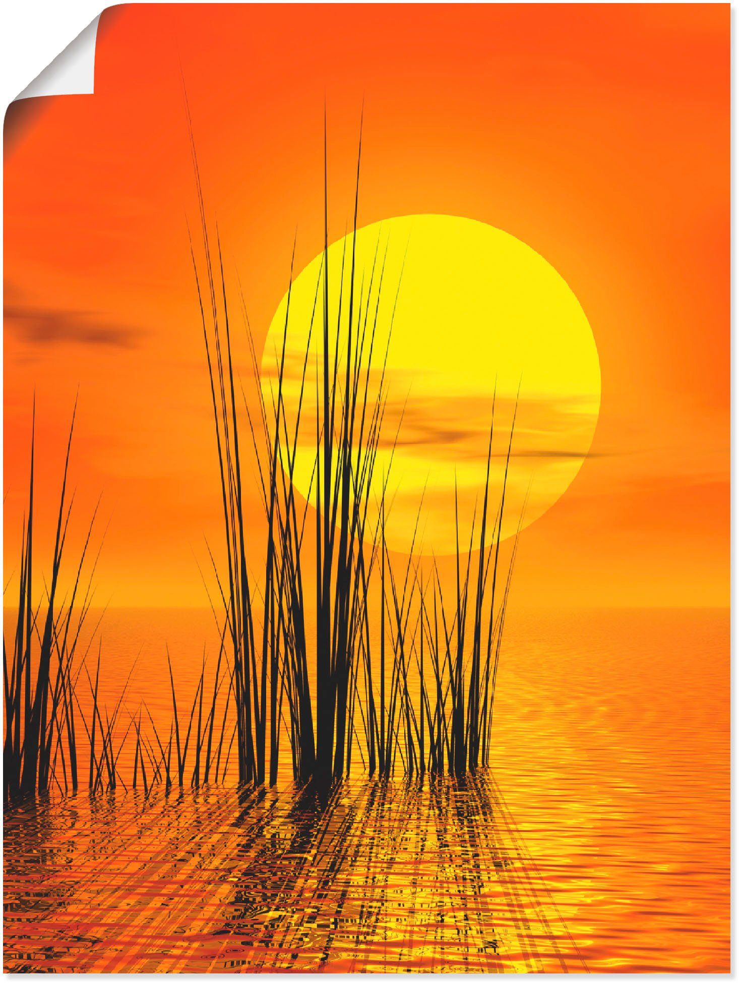 oder Schilf, mit Artland in -untergang Wandbild Sonnenuntergang versch. Wandaufkleber St), Sonnenaufgang als (1 & Leinwandbild, Größen Poster