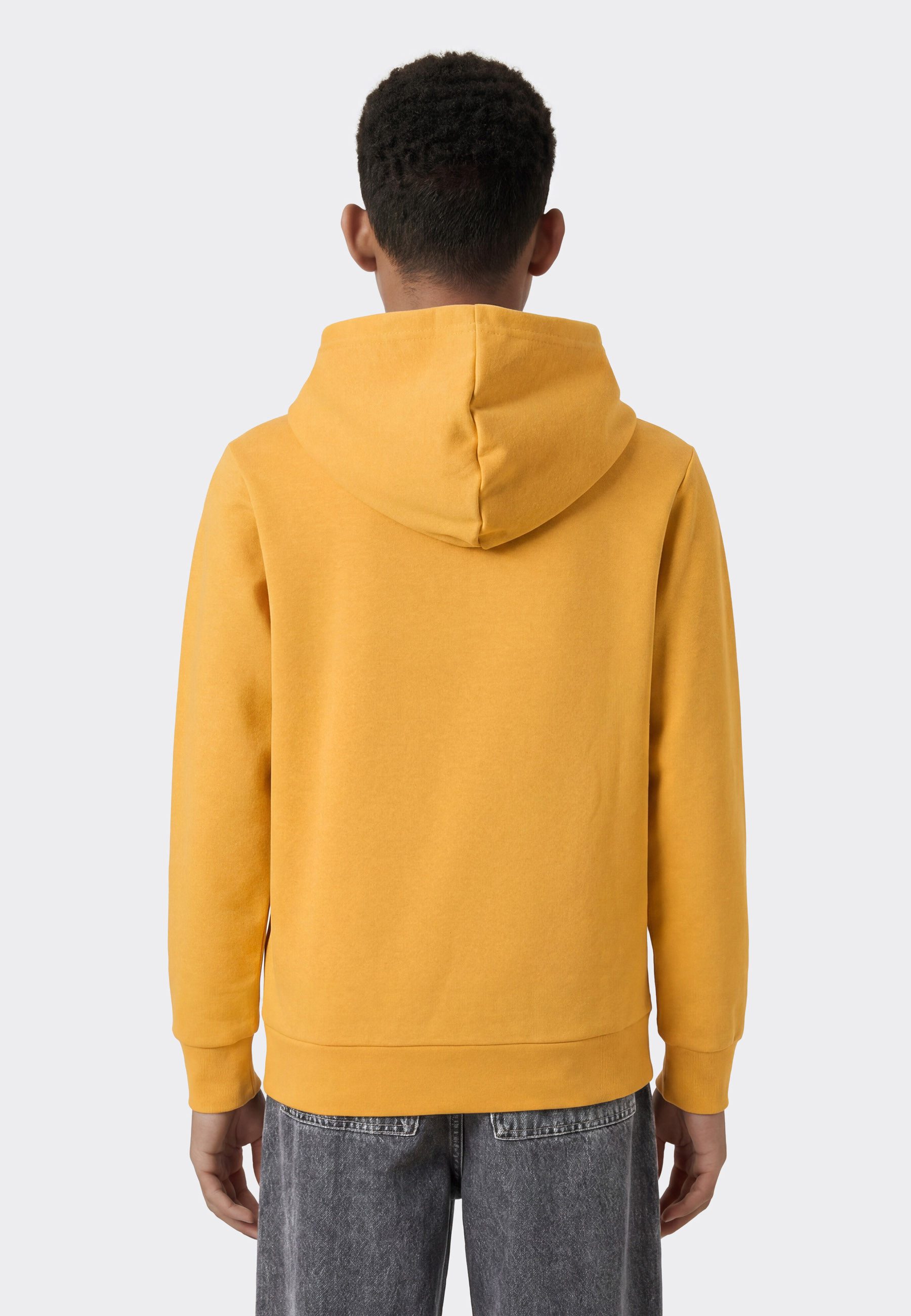 Champion Kapuzensweatshirt SPORTWEAR HOODIE Standard Fit mit Kängurutasche, aus Baumwolle und Polyester
