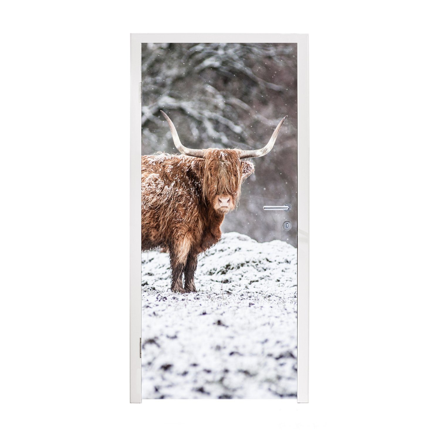 Matt, Schnee, bedruckt, cm Baum Türaufkleber, MuchoWow Highlander Fototapete Schottischer - Türtapete Tür, für 75x205 (1 St), -