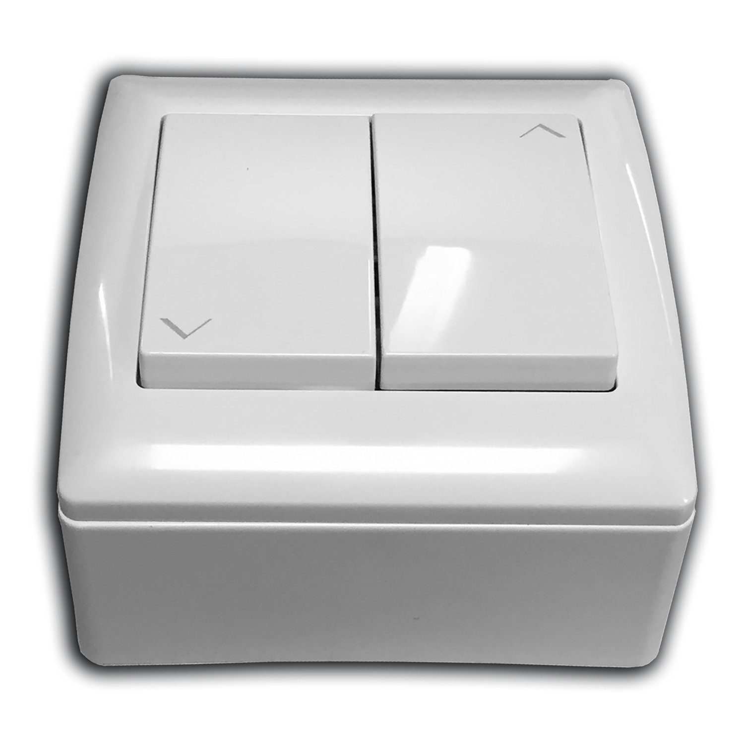 Celexon Expert XL Motorleinwand (black_backside)