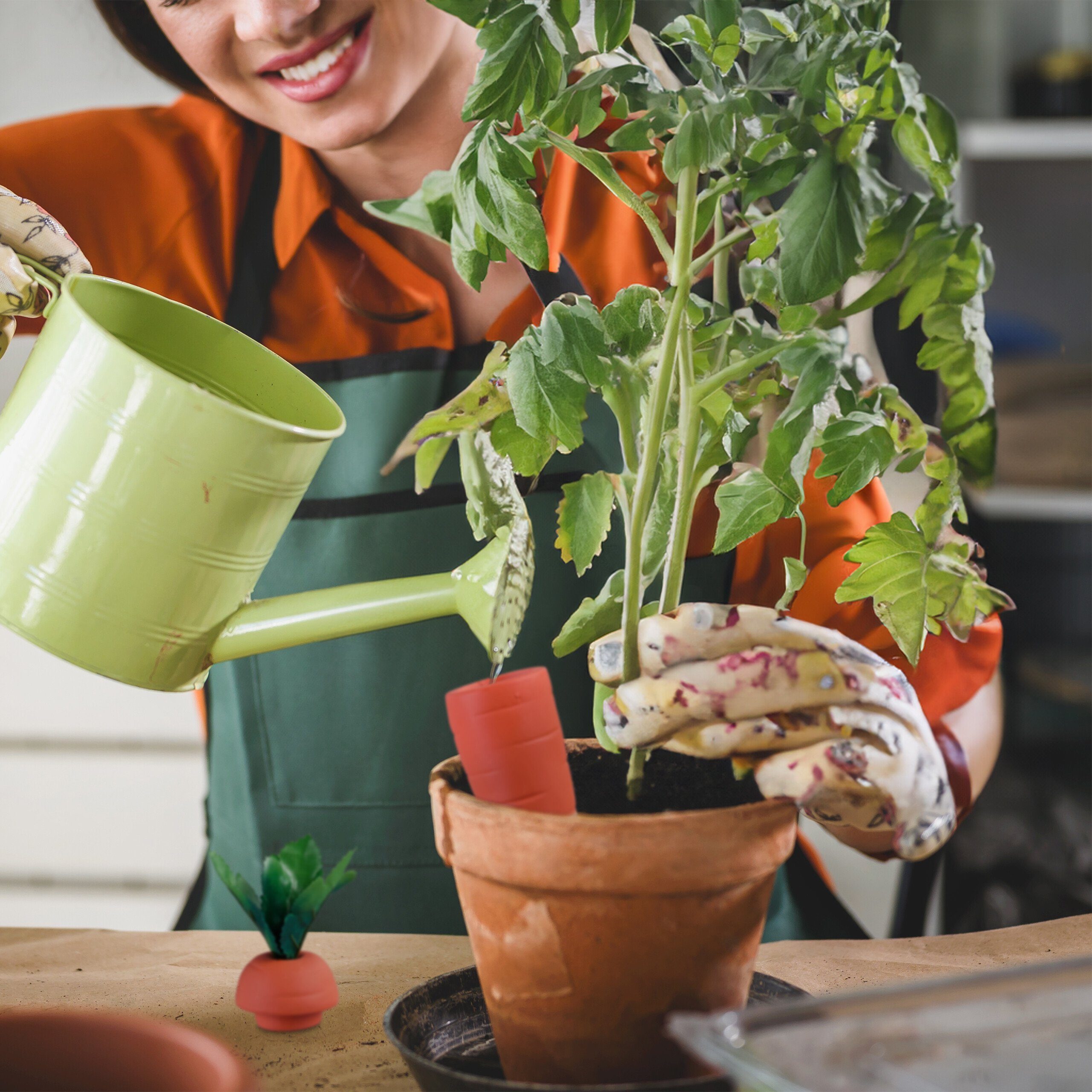 relaxdays Bewässerungssystem Tonkegel Karotte im 4er Set