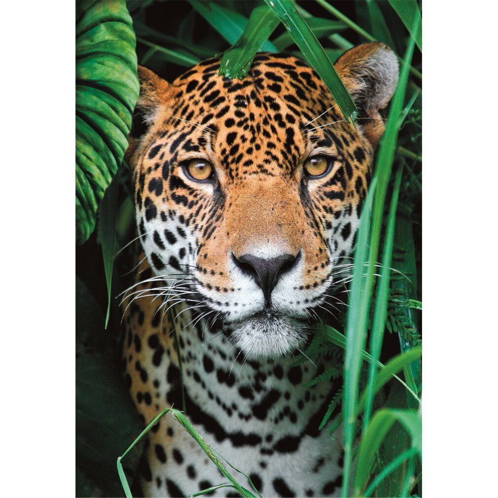 Clementoni® Puzzle CLEMENTONI Puzzle Jaguar im Dschungel 500 Teile, Puzzleteile