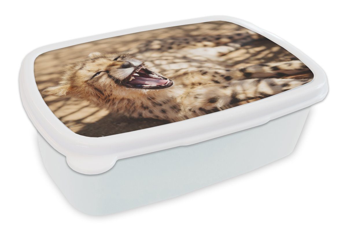 MuchoWow Lunchbox Gepard Mädchen Kinder (2-tlg), - und Brotbox für Tier Erwachsene, Kunststoff, - Nahaufnahme, Brotdose, Jungs und weiß für