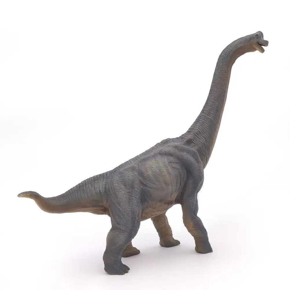 papo Actionfigur Papo 55030 Brachiosaurus