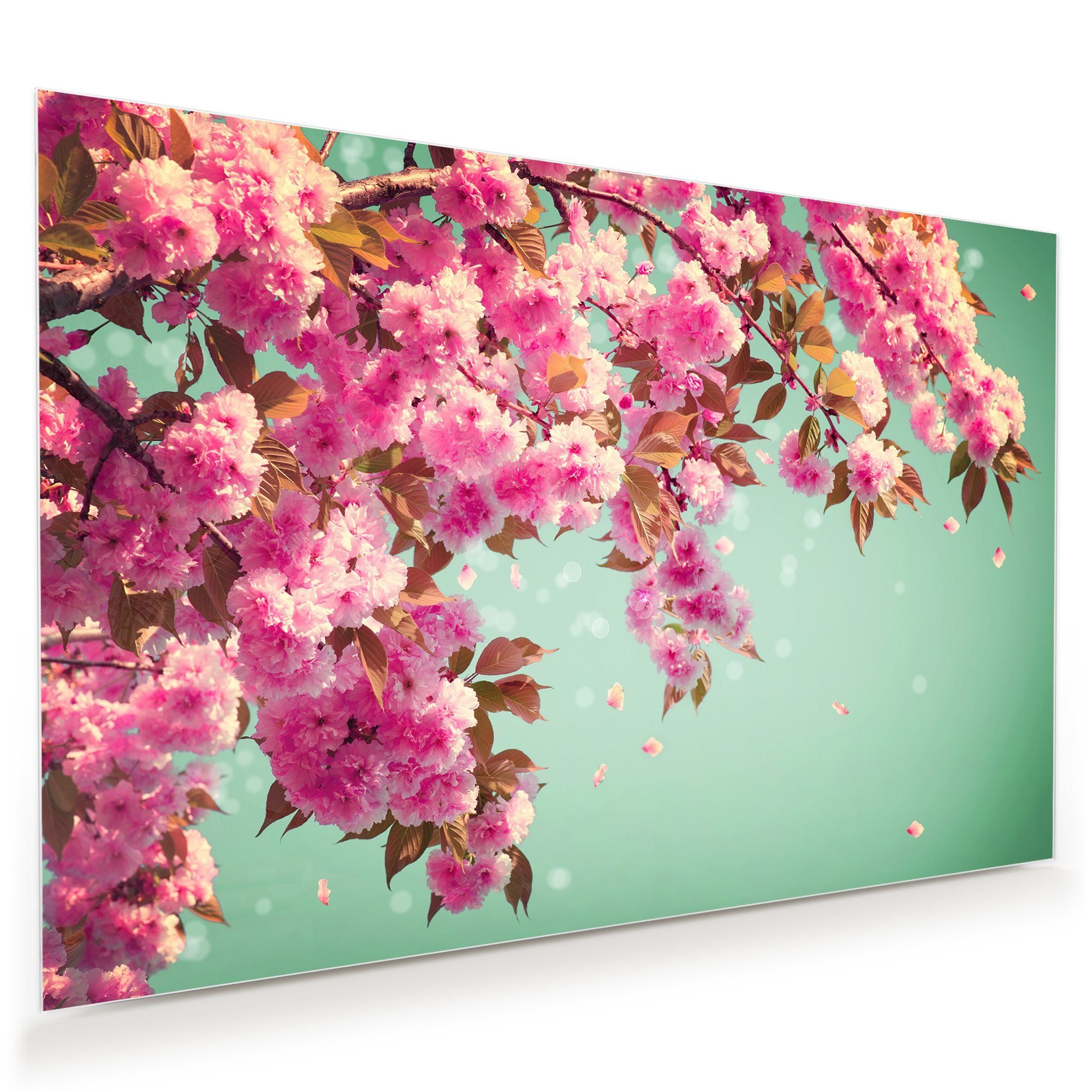 Primedeco Glasbild Wandbild Blütenbaum mit Aufhängung, Blumen (21 verschiedene Größen, 1 St), Elegante Aufhängung
