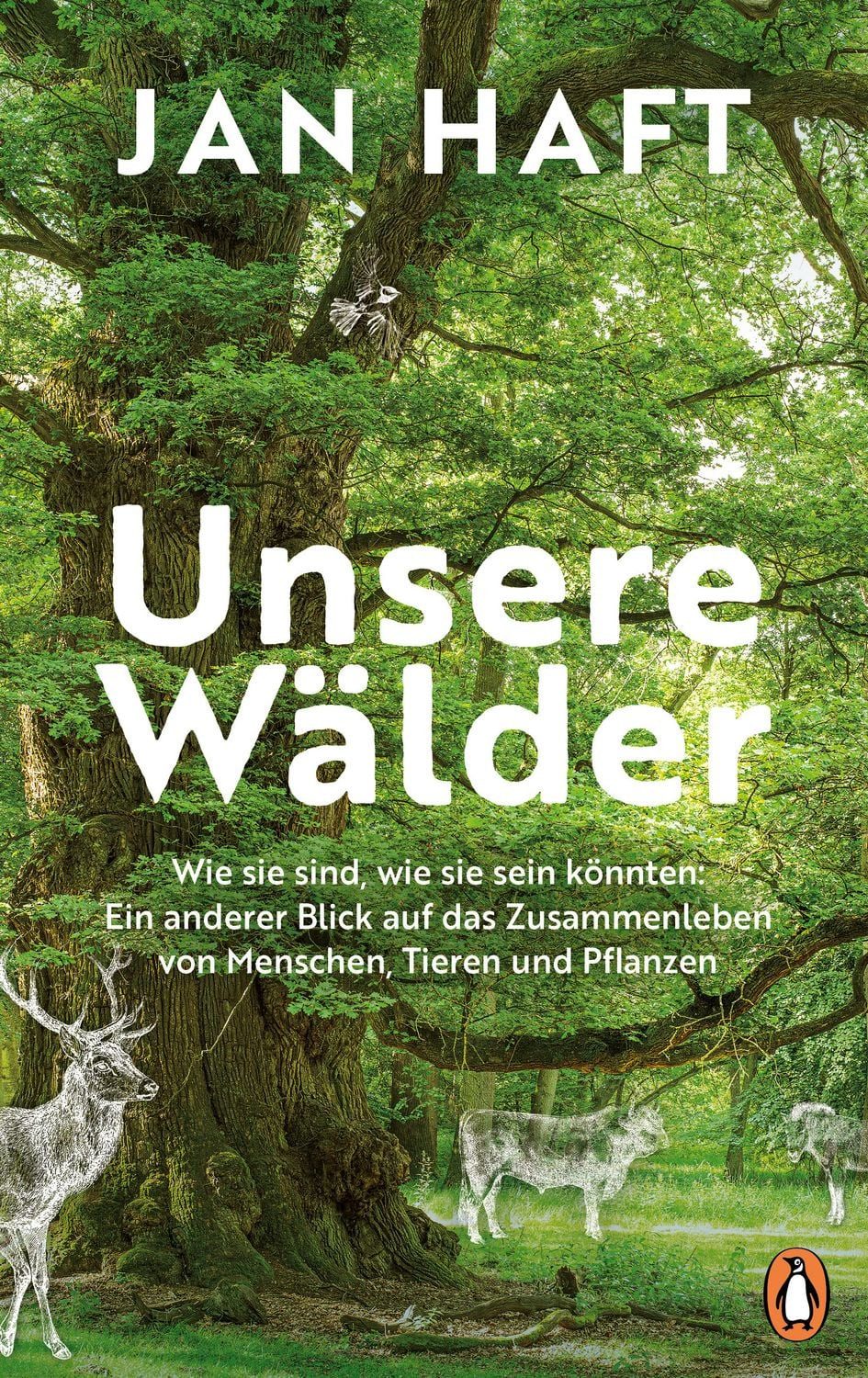 Unsere Wälder / Jan Haft, Wie sie sind, wie sie sein könnten: Ein anderer Blick auf das Zusammenleben von Menschen, Tieren und Pflanzen - Mit 32 Seiten Farbbildteil