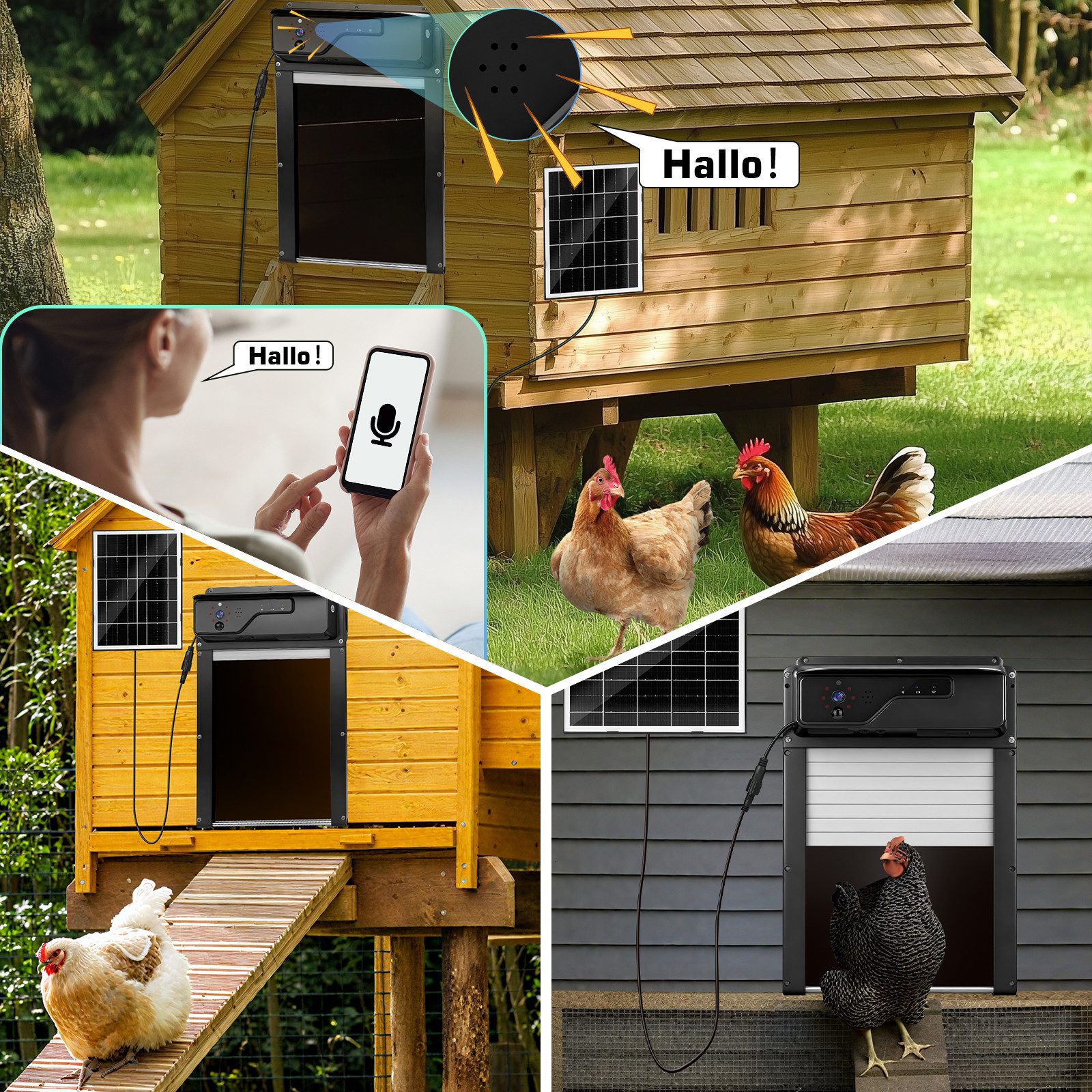 XERSEK Hühnerstall Automatische Hühnerklappe mit Solar, APP-Echtzeitsteuerung über WLAN, Kamera, 5000mAh Akku, Fernbedienung Lichtsensor Anti-Klemm, Hühnertür