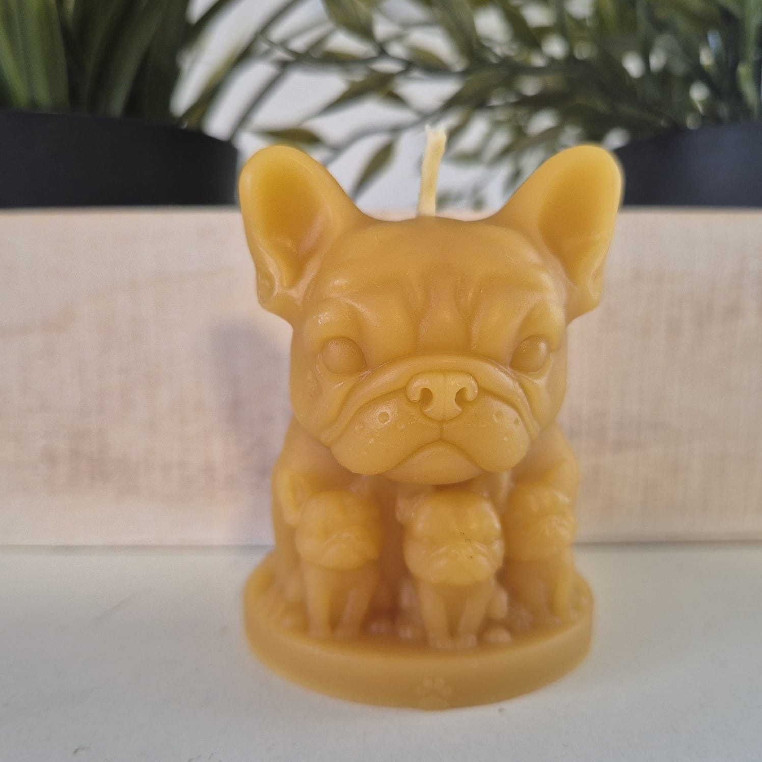 Aspinaworld Bienenwachskerze Bulldoggen Kerze mit Welpen 7 cm – Kerze aus Bienenwachs