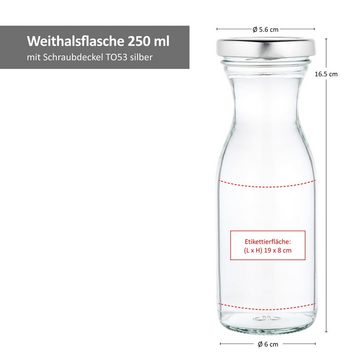 MamboCat Vorratsglas 6er Set Weithalsflasche Karaffe 250 ml + To 53 Deckel silber, Glas