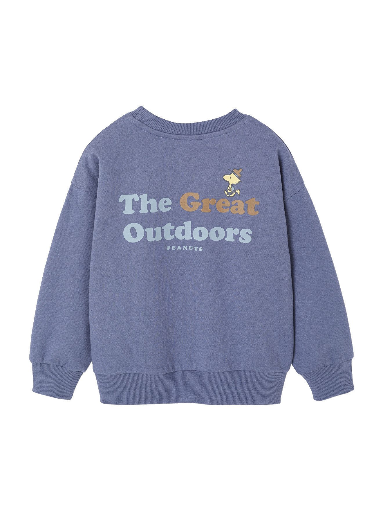 vertbaudet Fleecepullover 1018899001