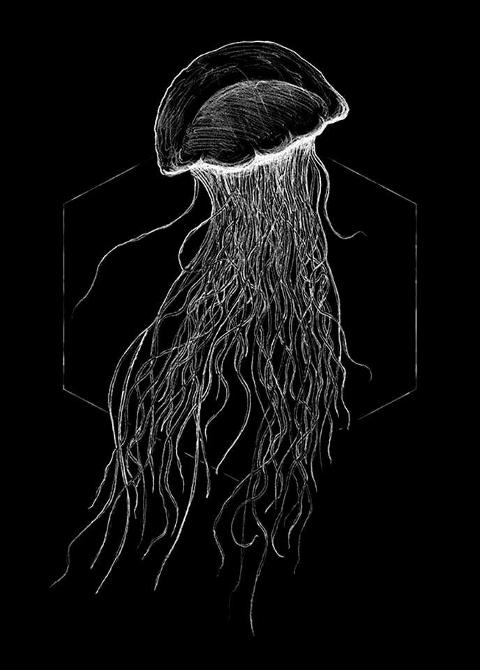 Jellyfish Kinderzimmer, St), Black, Komar Poster Wohnzimmer (1 Schlafzimmer, Tiere