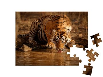 puzzleYOU Puzzle Tiger in der Natur in Rajasthan, Indien, 48 Puzzleteile, puzzleYOU-Kollektionen Tiger, Tiere in Savanne & Wüste