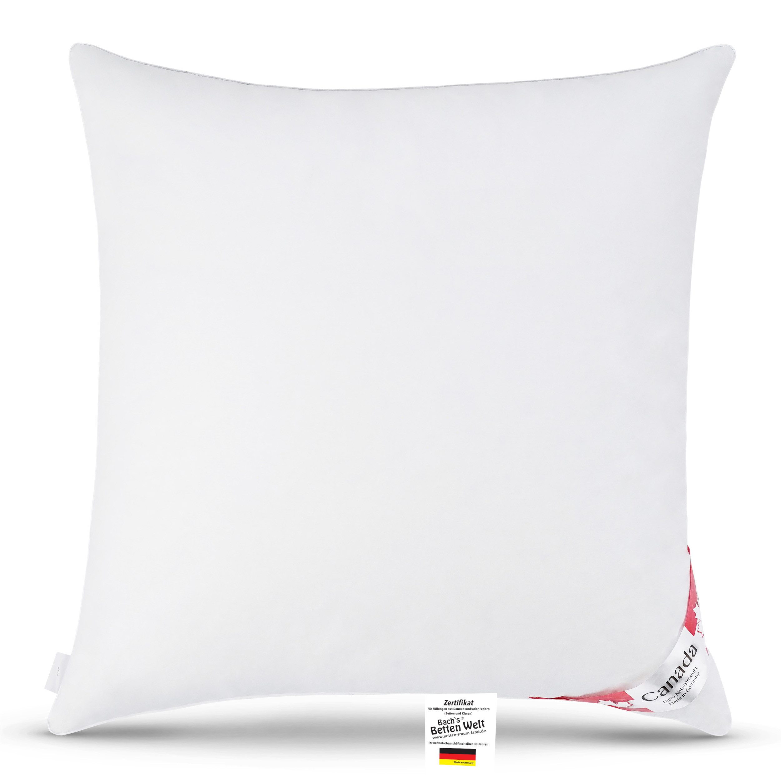 Canada Kopfkissen Daunenkissen Kopfkissen Quattro 80x80 cm, neue silberweiß günstig online kaufen
