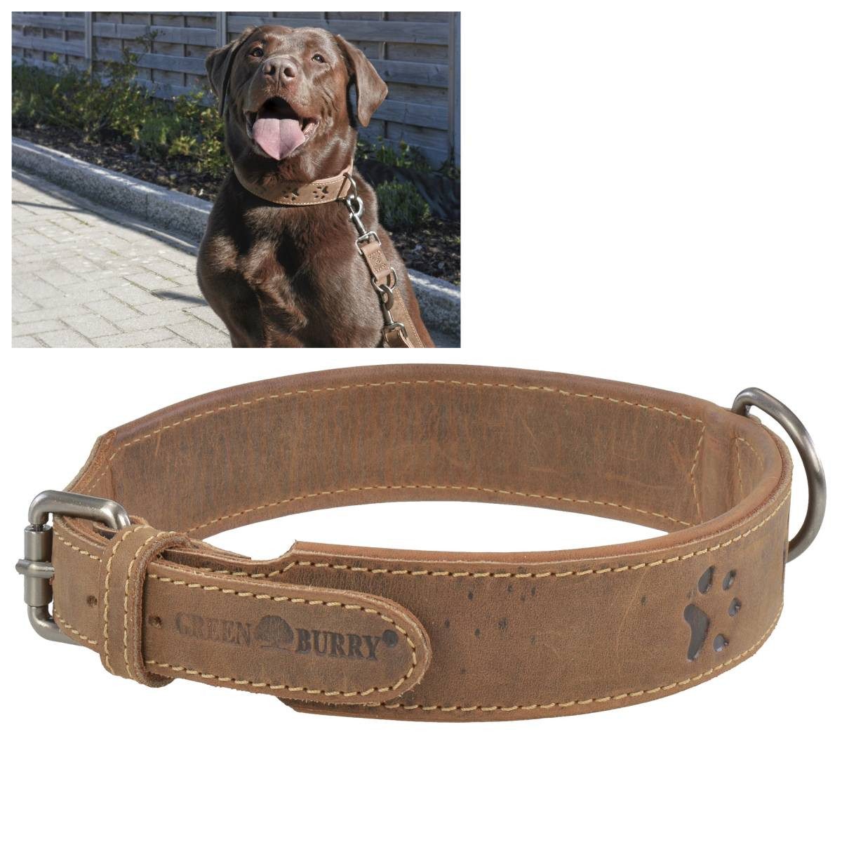 Greenburry Hunde-Halsband "Vintage" Leder antikbraun, Rindleder, robustes Halsband Hunde, 46-53cm, doppellagig, gerundete Metallteile