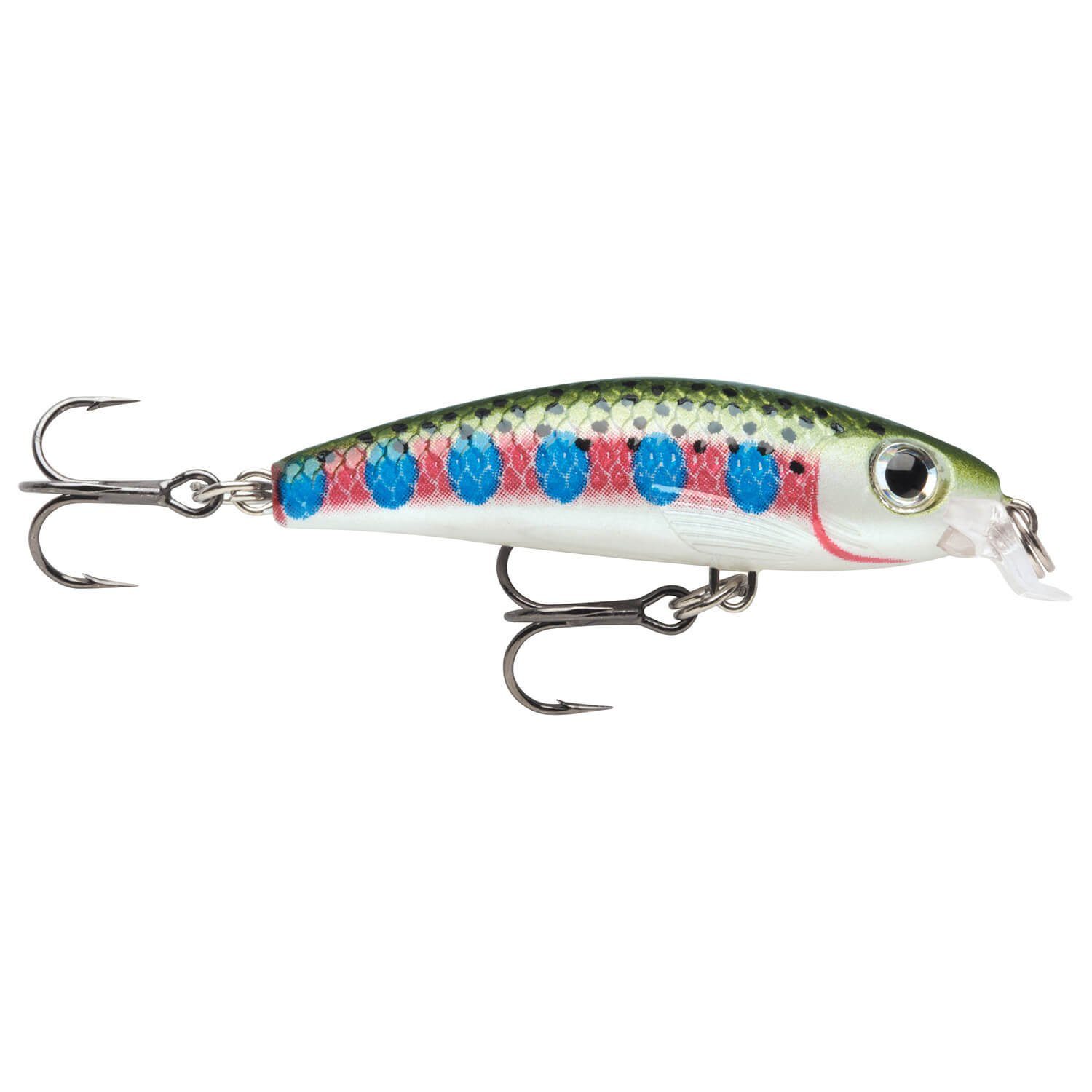 RT Rainbow Trout