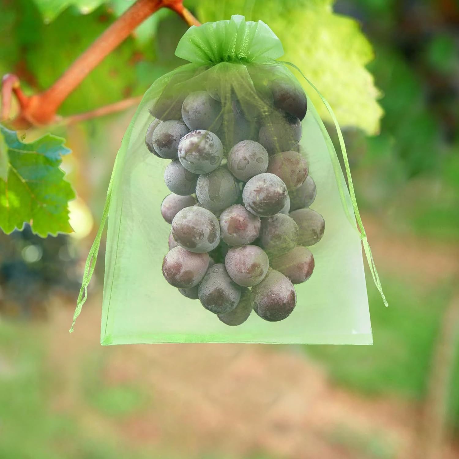 FELIXLEO Pflanzenschutzdach 50er Traubenschutzbeutel Grün 20x30cm, Organza Obstnetze mit Zugband – Bild 4 von 5