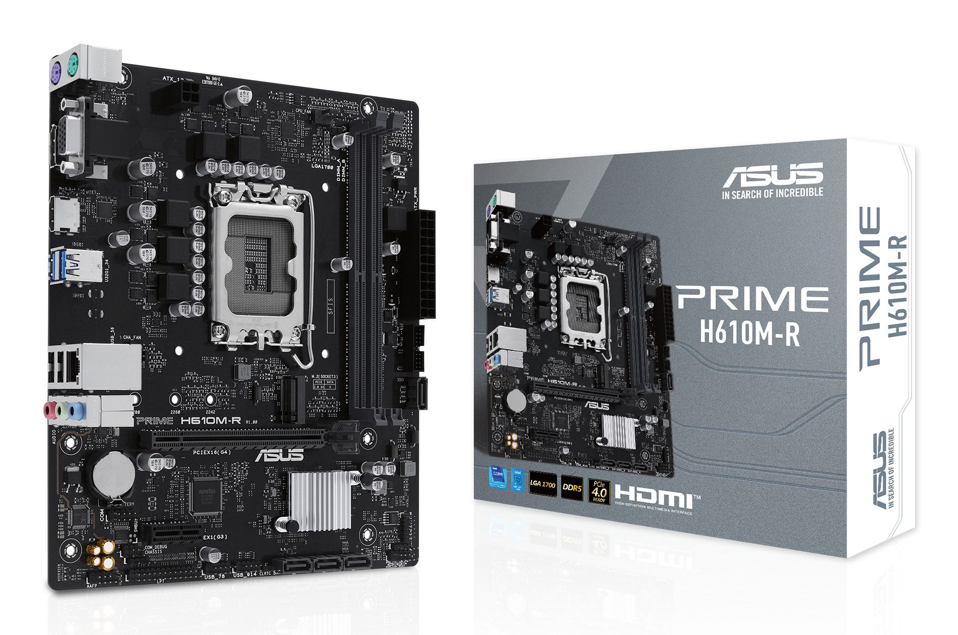 Asus Mainboard