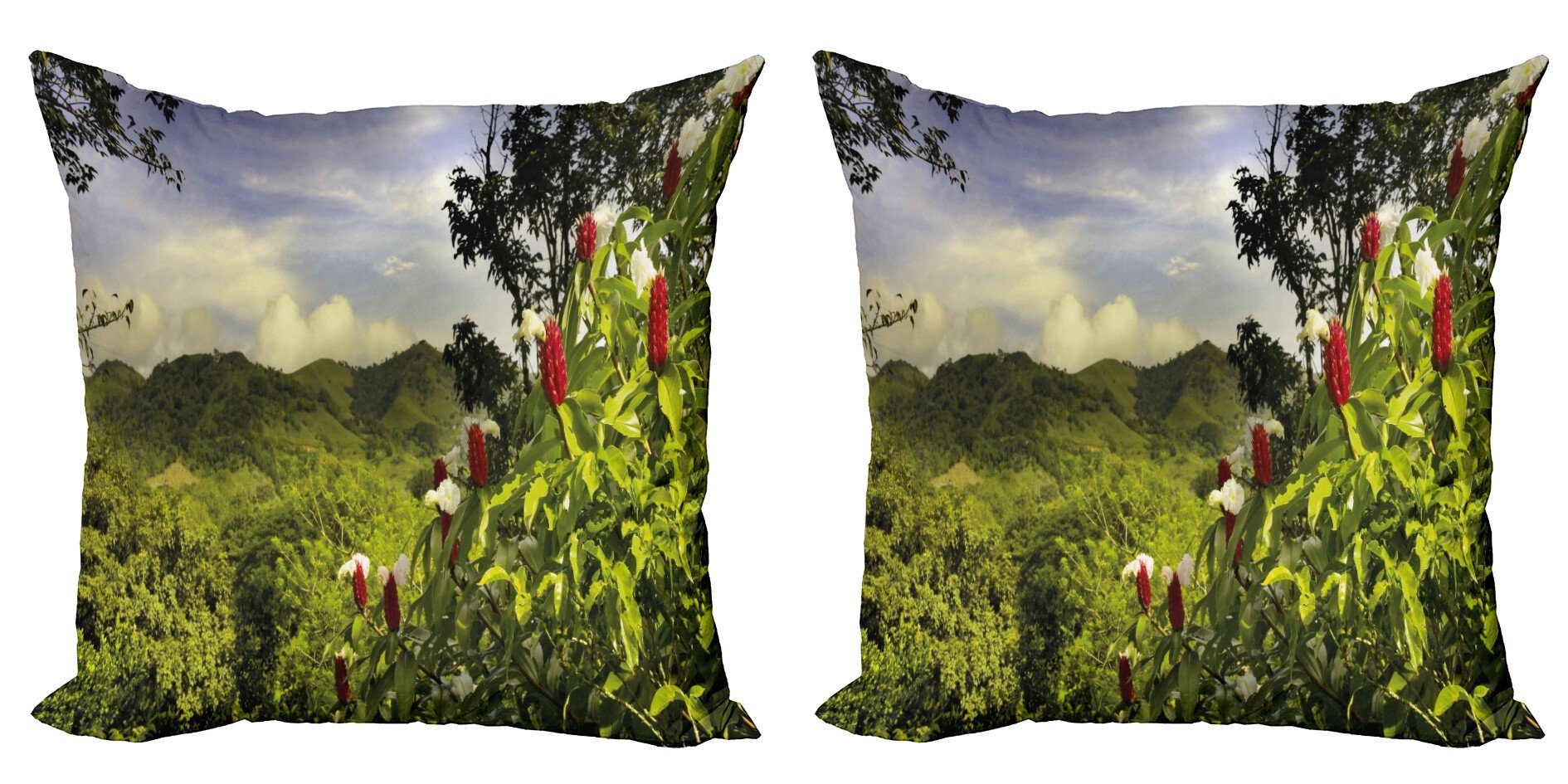 Kissenbezüge Modern Accent Doppelseitiger Digitaldruck, Abakuhaus (2 Stück), Wald Landwirtschaftliche Landschaft Costa Rica