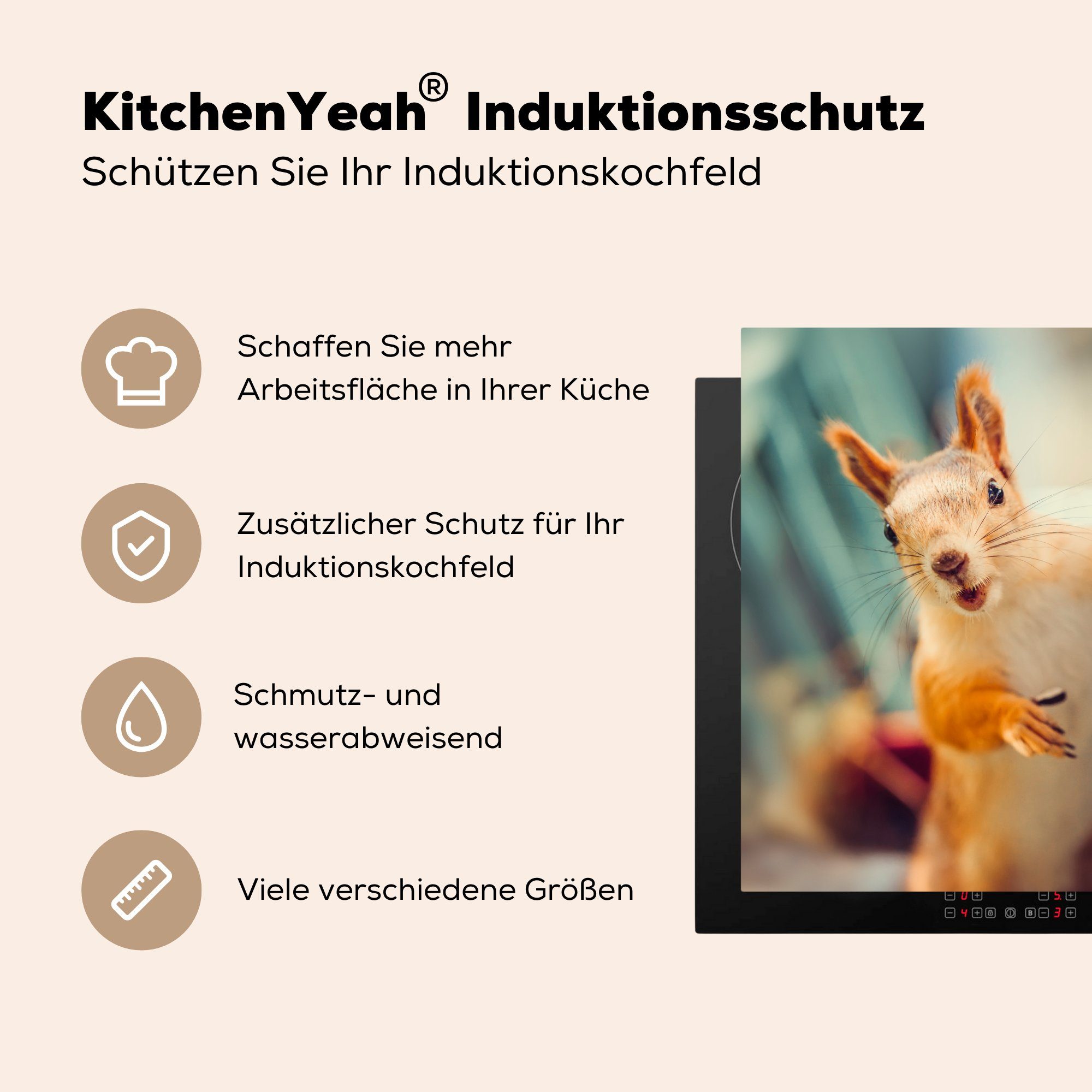 MuchoWow Herdblende-/Abdeckplatte Eichhörnchen - Tier cm, für küche Arbeitsplatte Porträt, 78x78 - - Vinyl, Herbst (1 tlg), Ceranfeldabdeckung