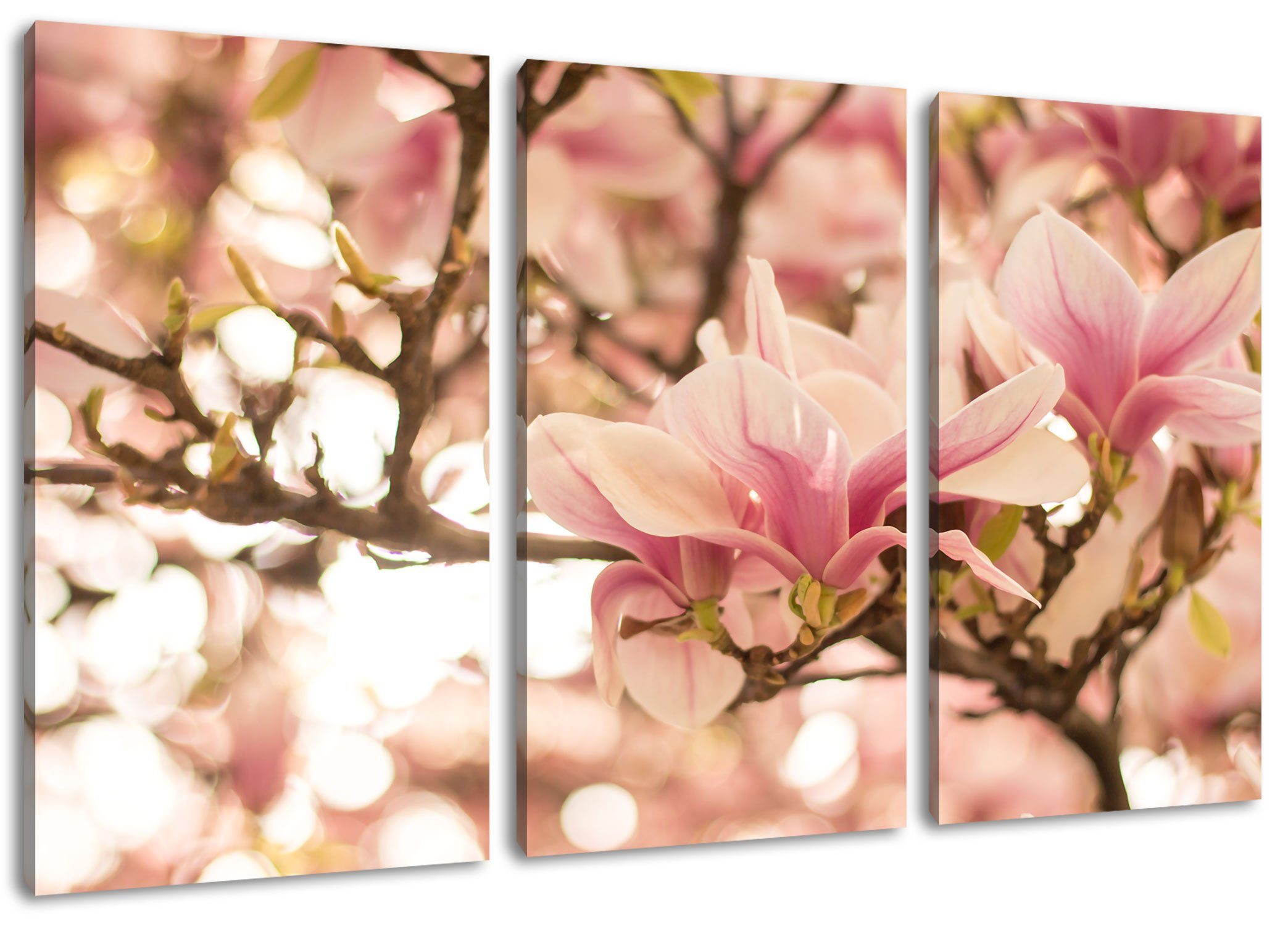 fertig Frühling 3Teiler Pixxprint Zackenaufhänger Magnolienblüten inkl. Rosa bespannt, Frühling, im Rosa Leinwandbild Leinwandbild (1 im (120x80cm) Magnolienblüten St),