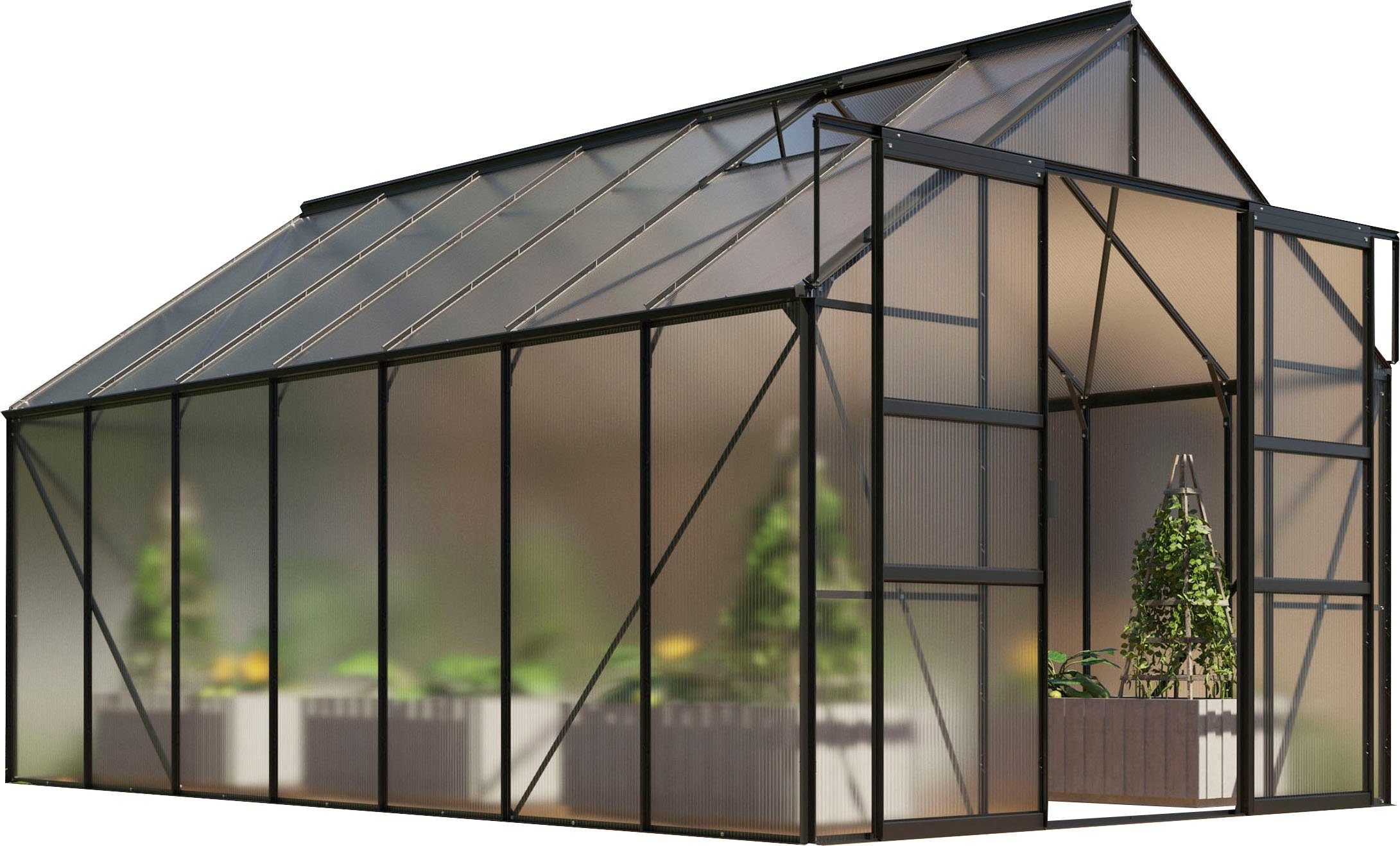 Vitavia Gewächshaus Mars 11500, BxTxH: 257 x 445 x 231,8 cm, 6 mm Wandstärke, Alu-Profile, 6 mm Hohlkammerplatten schwarz