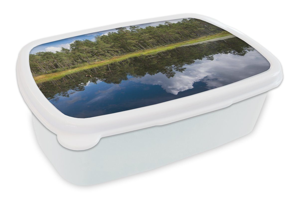 MuchoWow Lunchbox Die Spiegelung der Wälder im Nationalpark Store Mosse in Schweden, Kunststoff, (2-tlg), Brotbox für Kinder und Erwachsene, Brotdose, für Jungs und Mädchen weiß
