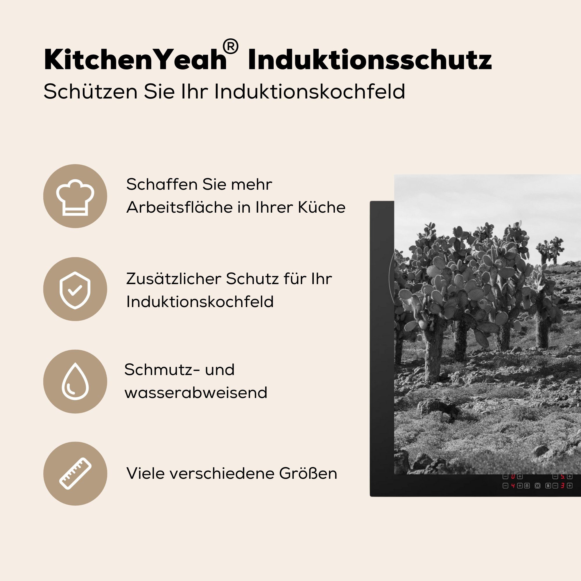 - Kaktus tlg), Vinyl, - Weiß - für MuchoWow Arbeitsplatte 78x78 Herdblende-/Abdeckplatte (1 Ceranfeldabdeckung, Schwarz cm, küche Südamerika,