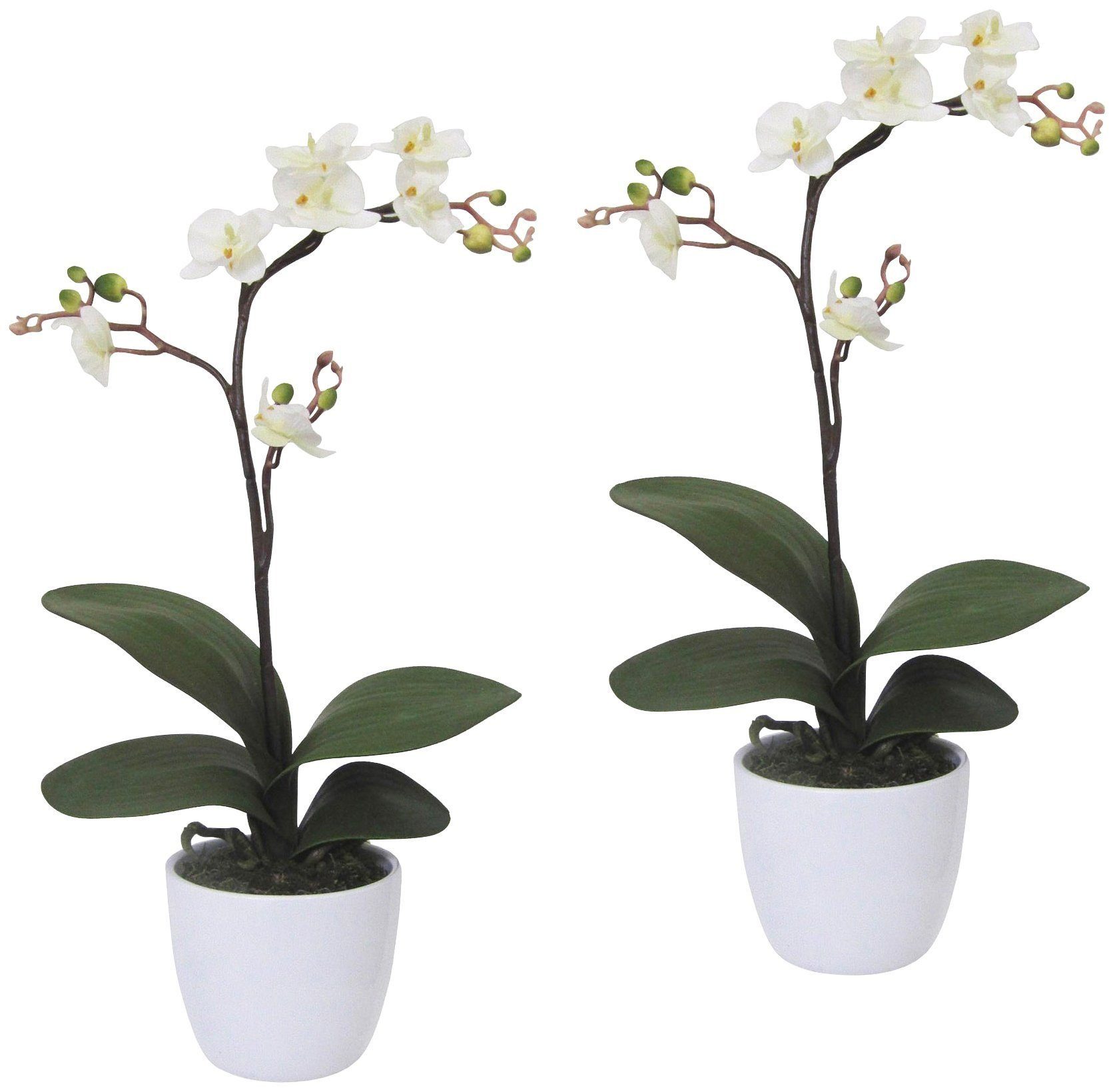 Kunstpflanze Orchidee Phalaenopsis Orchidee, Creativ green, Höhe 55 cm, im günstig online kaufen