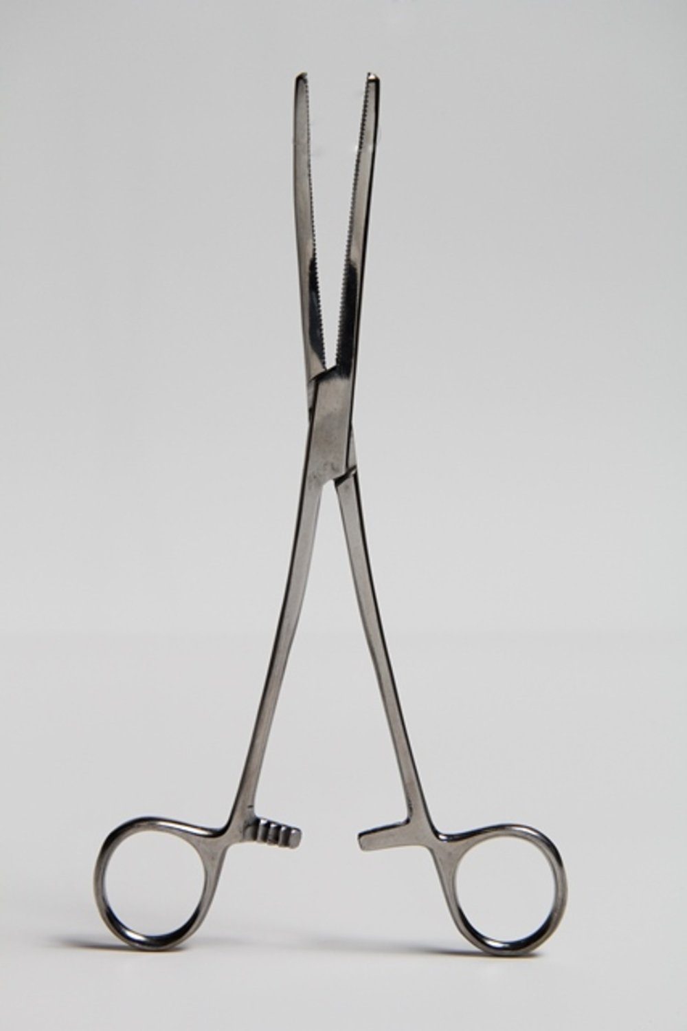 Terrarium Zange, groß, mit Sperre (ca. 30cm)