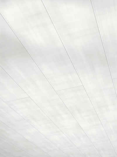 PARADOR Dekorpaneele »Novara Soft Shades Dekor«, BxL: 20x125 cm, 0,25 qm, (Set) zur Decken- und Wandmontage geeignet