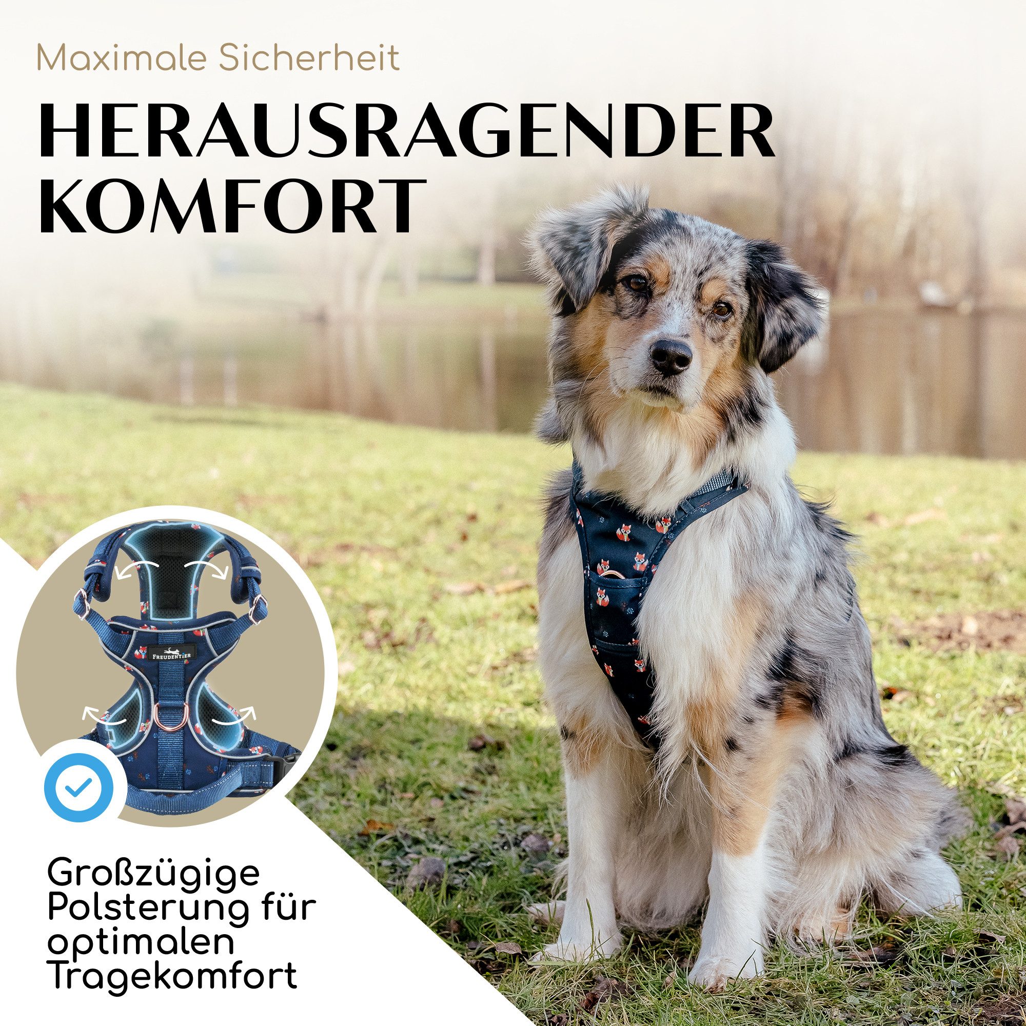 Freudentier Hunde-Geschirr Let's get Foxy Kollektion, mit Mesh Polsterung, Reflektoren und Griff