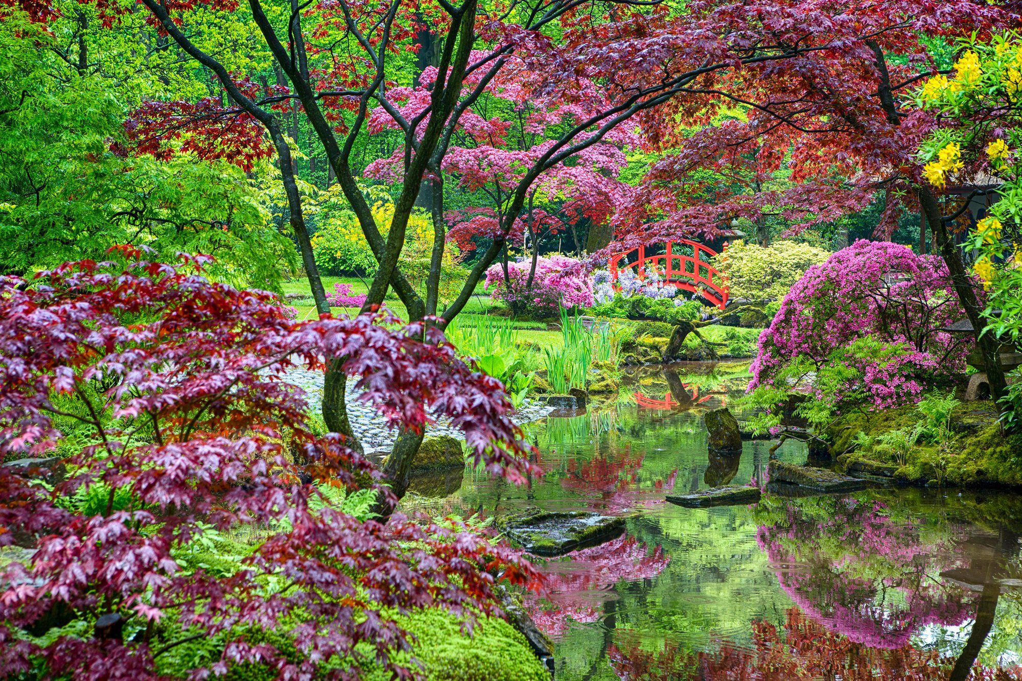 BÄUME STEINE GARTEN-BLUMEN WALD BLÜTEN Fototapete Papermoon PARK PFLANZEN