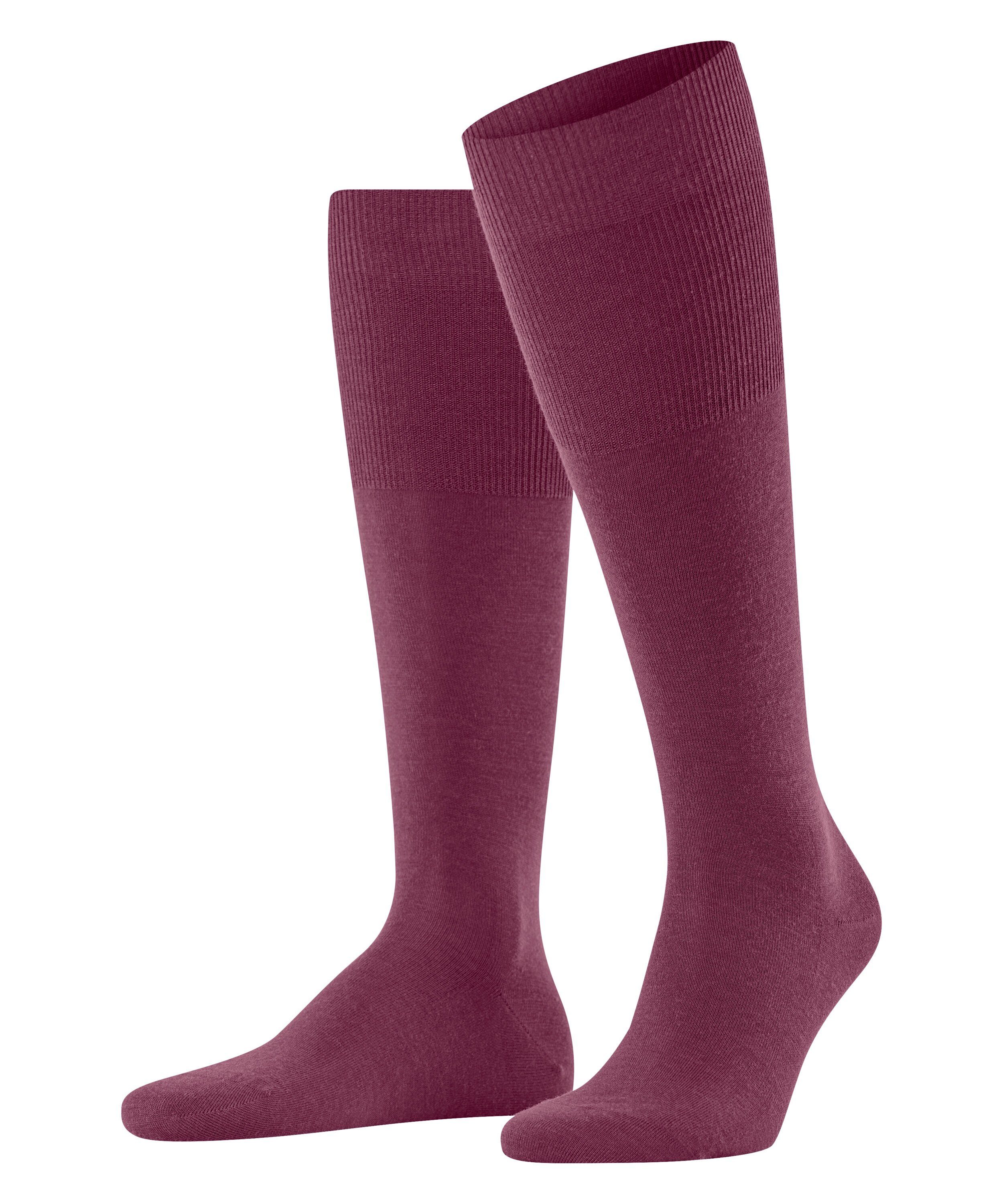 red plum (8236)