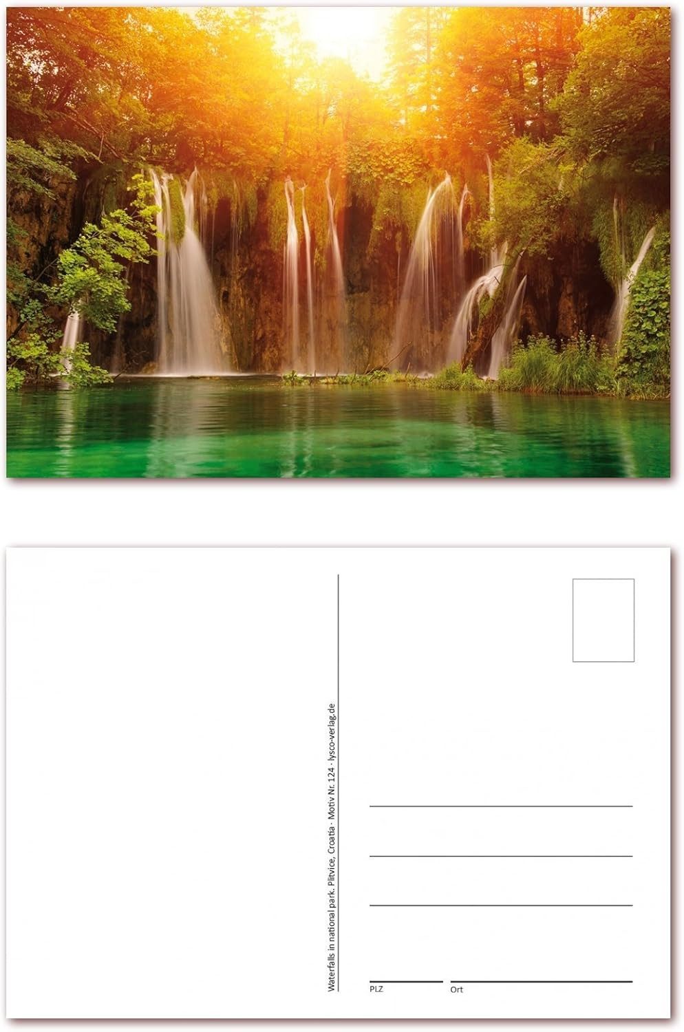 LYSCO Ansichtskarte Postkarten Wald Natur Landschaft DIN A6 (105 x 148 mm), besonders gut beschreibbar mit allen Schreibmaterialien