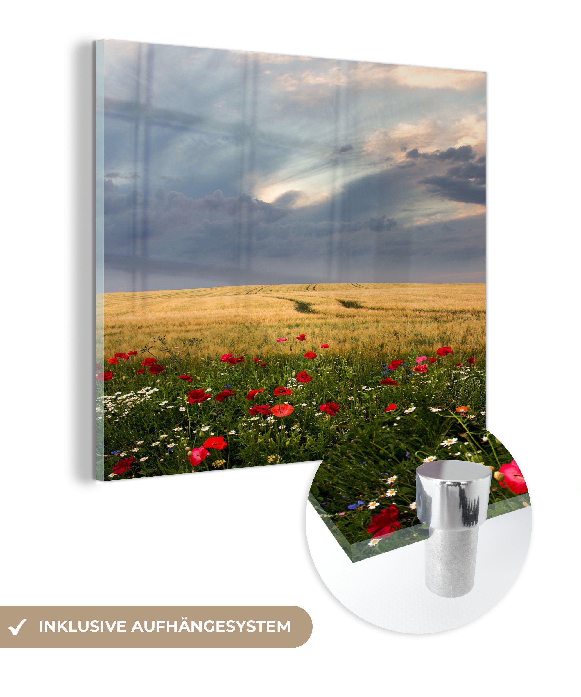 Glas Weizen Wandbild - MuchoWow auf auf Acrylglasbild - - (1 - Glasbilder Bilder - Wanddekoration St), Wolken, Glas Blumen Foto
