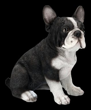 Figuren Shop GmbH Tierfigur Französischer Bulldogge Welpen Figur - Dekofigur Hunde Tierfigur