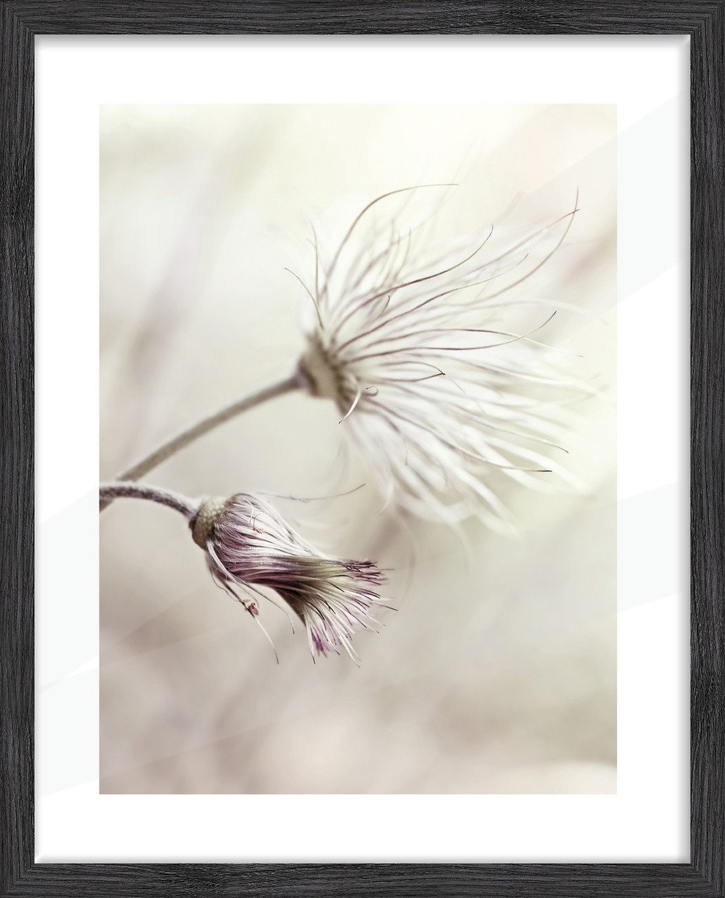 The Wall - the art of framing AG Bilderrahmen Bilderrahmen Holz Arosa eiche schwarz 40 x 50 cm