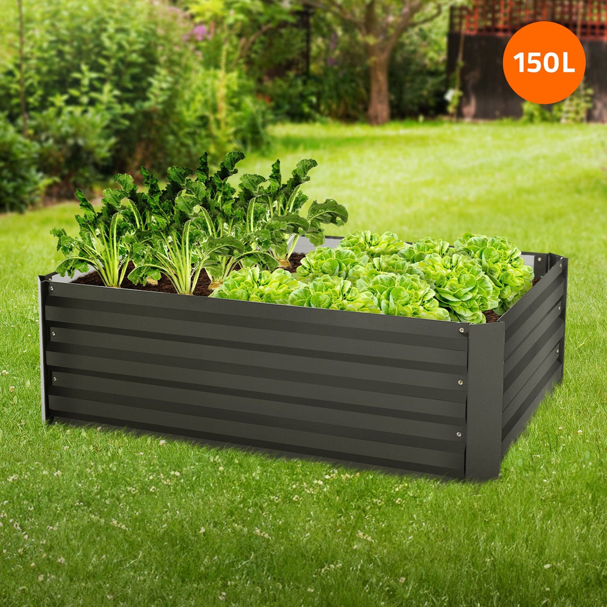 MLDESIGN Hochbeet Pflanzkasten aus Metall für Garten, rostfrei