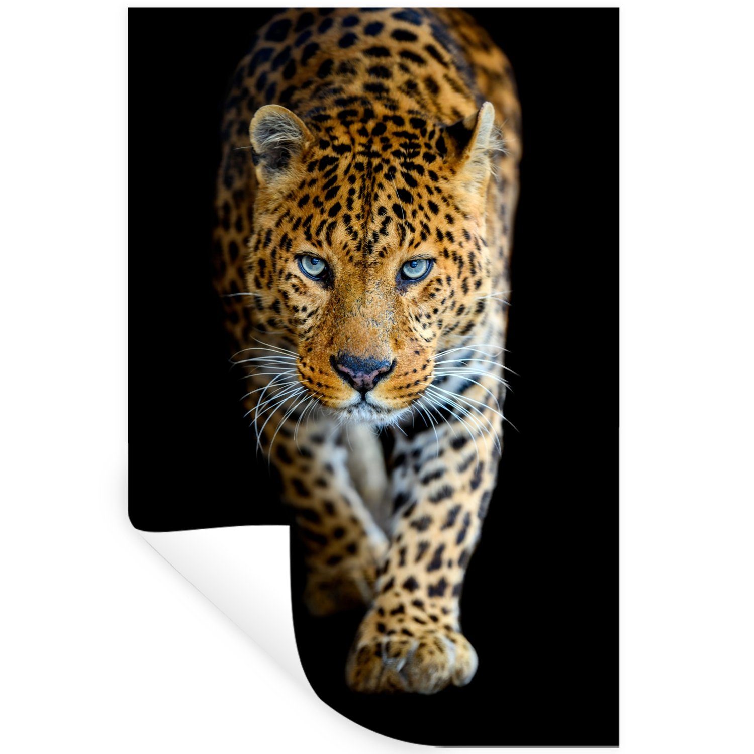MuchoWow Wandsticker Leopard - Tiere - Porträt - Wildtiere - Schwarz (1 St), Wandaufkleber, Selbstklebend, Wohnzimmer, 20x30 cm