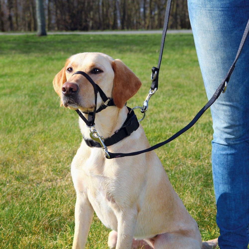 TRIXIE Hunde-Erziehungsgeschirr Top Trainer Ausbildungsgeschirr