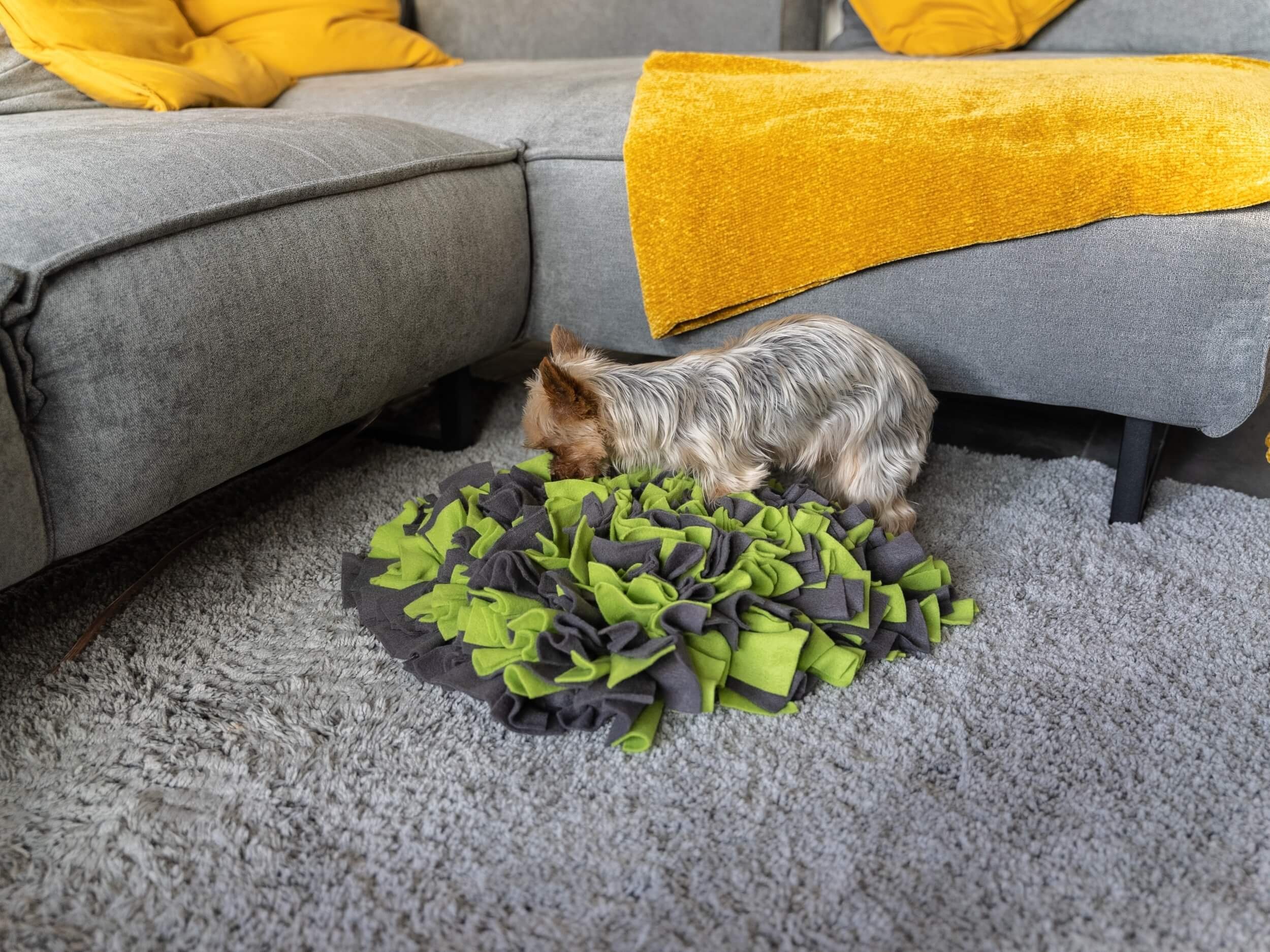 TrendPet Schnüffelteppich, in 2 Farben erhältlich