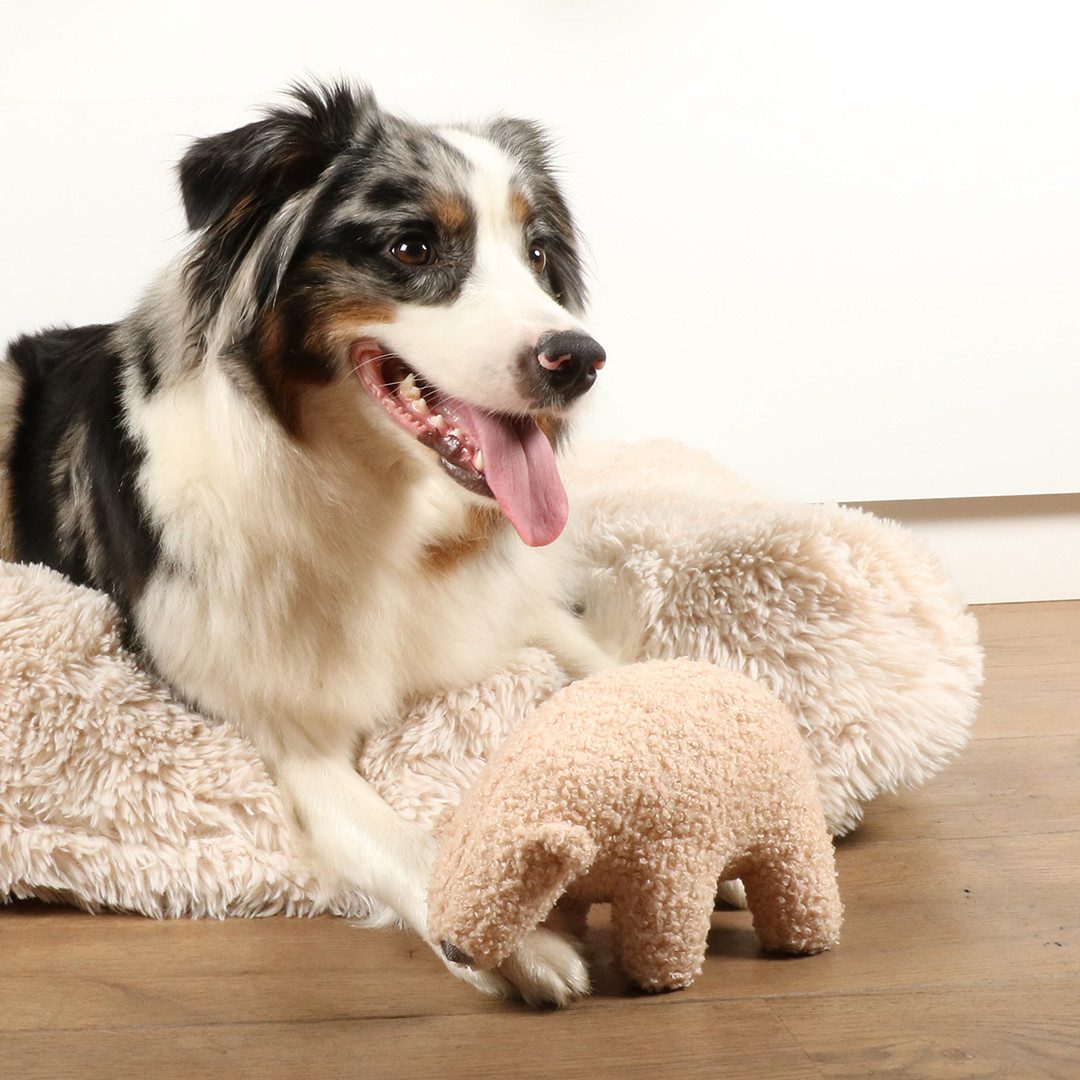 D&D Tierkuscheltier D&D Hundespielzeug Banjo Teddystoff - beige Größe / Maße: S -