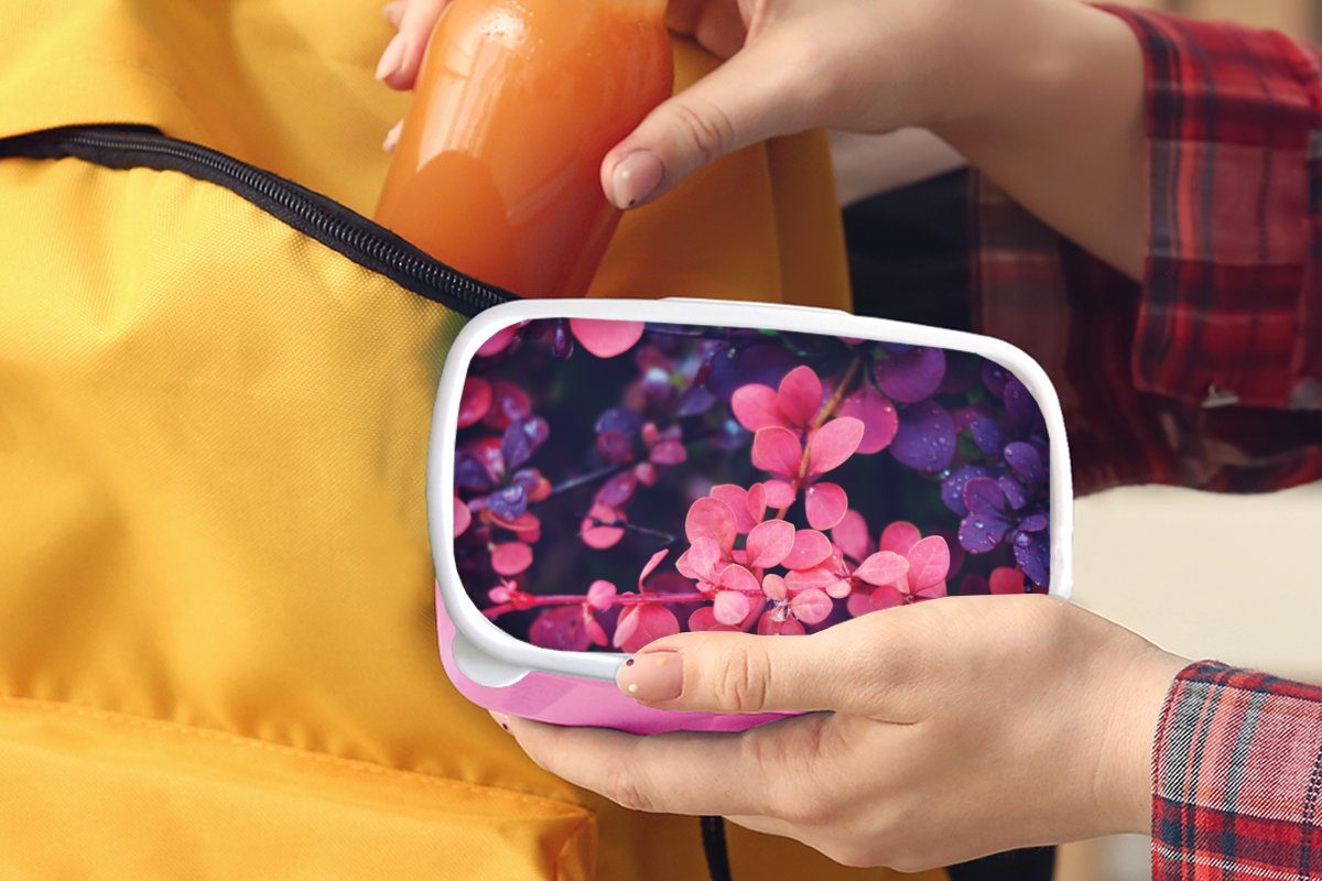 MuchoWow Lunchbox Blumen - Lila Brotdose (2-tlg), Erwachsene, für Natur, Snackbox, Brotbox Kunststoff, rosa Kunststoff Kinder, Mädchen, 