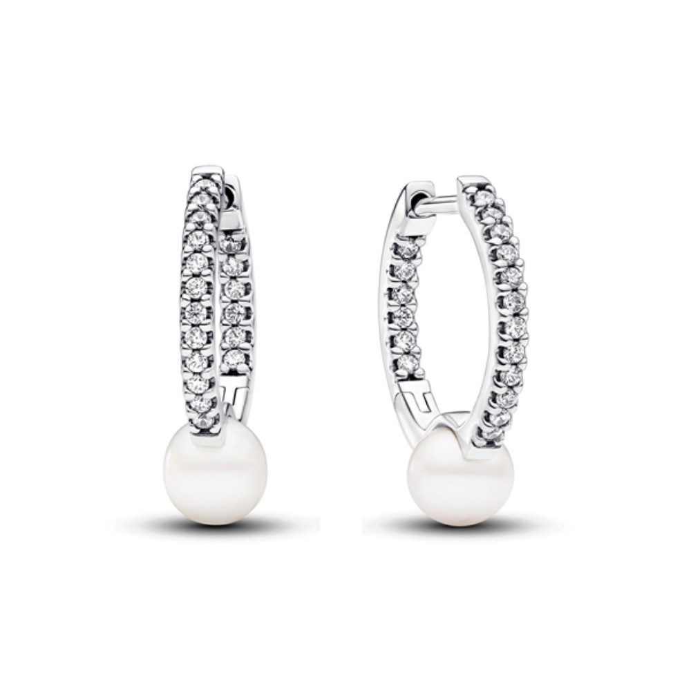 Pandora Paar Creolen 293171C01 günstig online kaufen