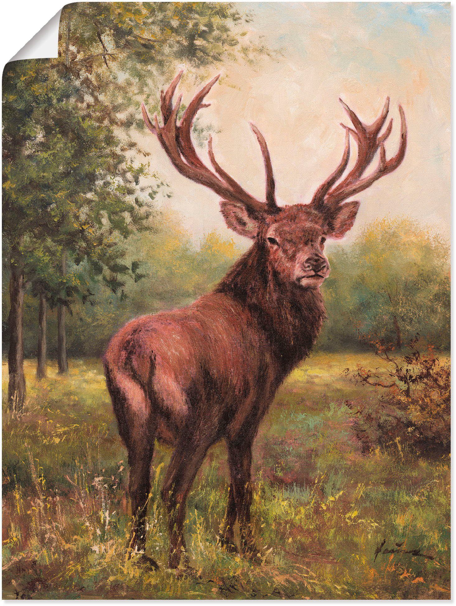 Hirsch, Wandaufkleber Wandbild Größen als versch. Alubild, (1 Poster Artland St), in Wildtiere Leinwandbild, oder